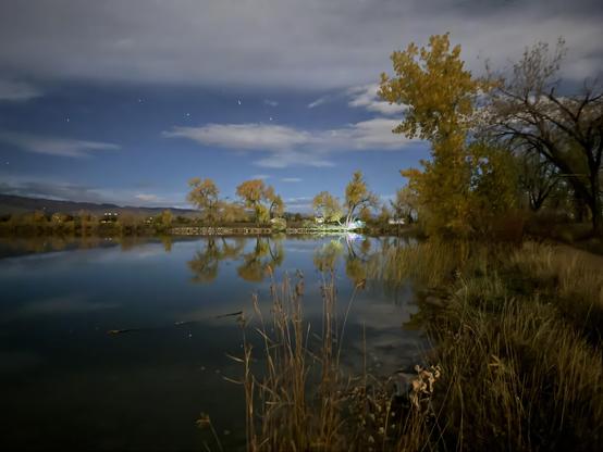 A tranquil night scene depicting a still body of water reflecting trees and clouds under a starry sky. Soft light illuminates some trees, surrounded by tall grasses at the water's edge.